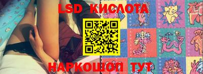 стафф Гудермес