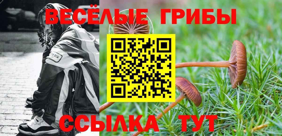 Галлюциногенные грибы Cubensis  Вход с VPN  Калач-на-Дону 